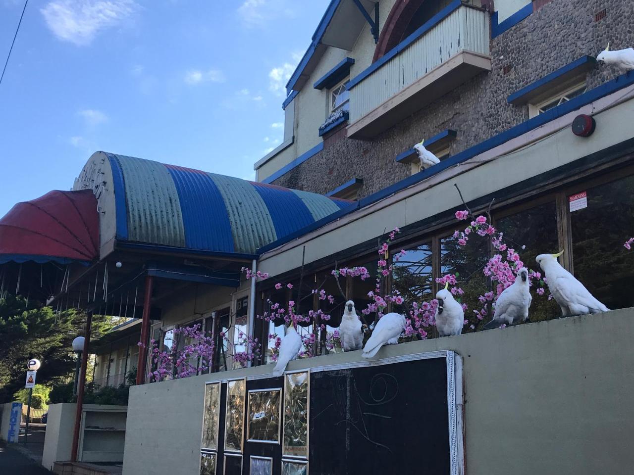 The Clarendon Motel Катумба Экстерьер фото